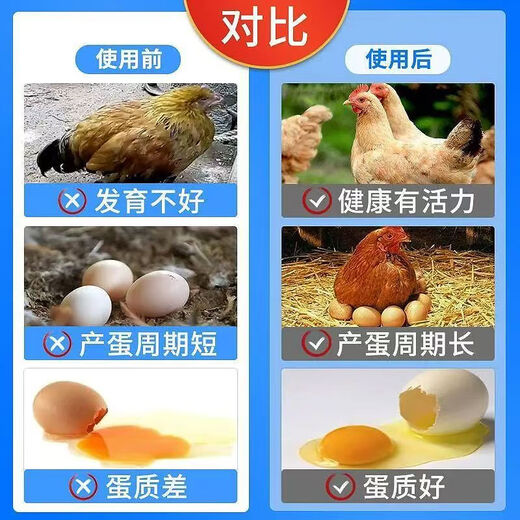 Egg Duoduo chickens, ducks, geese, general egg-laying treasure, egg-stimulating egg-stimulating device, special feed additive for improving egg quality in cold weather, 3 bags, can’t be picked up after eating