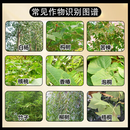 Cyclazinone herbicide Cyclazinone herbicide genuine wholesale cutting weeds and root rotten roots uprooting rotten pesticides land reclamation 5% Cyclazinone 500g*1 bag directly spread