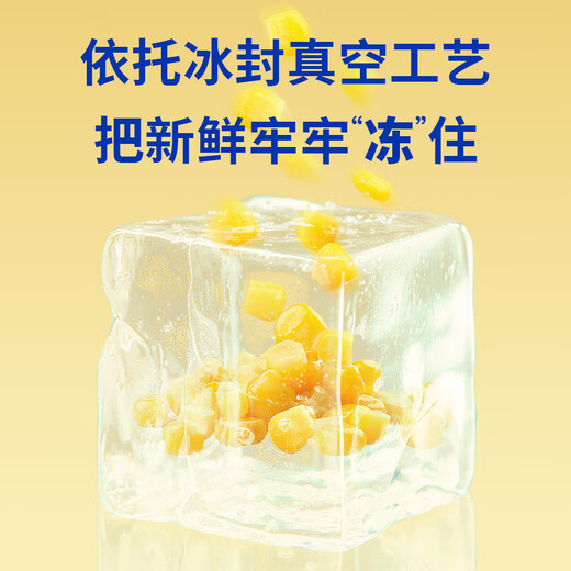 Black Bear Chuck Fruit Sweet Corn Kernels 1.6Jin Jin equal to 0.5kg 80g*10 bags ready to eat crispy sweet juicy low fat filling children's snacks