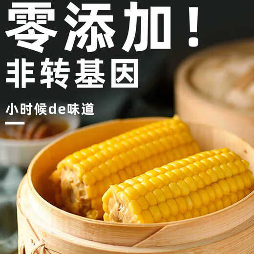 Maíz ceroso dulce fresco del noreste, 180 g-220 g, maíz ceroso amarillo, envasado al vacío, reemplazo de comida dulce cerosa suave, 180 g-220 g, maíz ceroso amarillo, paquete de 4