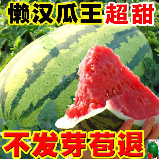 Watermelon Set, Watermelon Seeds, Watermelon Balcony Potted Plants, Farmhouse Garden Melon Seeds, Lazy Man King Watermelon Seeds, 1 pack, about 50 pieces