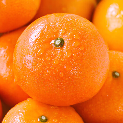 【东东农场】正宗广西武鸣沃柑新鲜采摘自然生长爆甜 沃柑带箱6斤 单果65mm+