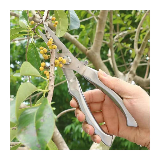 JCZS German quality gardening scissors, pruning shears, household garden pruning flowers and fruit trees, special labor-saving fruit picking scissors 8805+8806 standard set