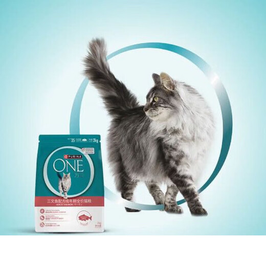 PURINA ONEONE Ten Thousand Brand Salmon Formula Full Price Cat Food for Adults MM Supermarket