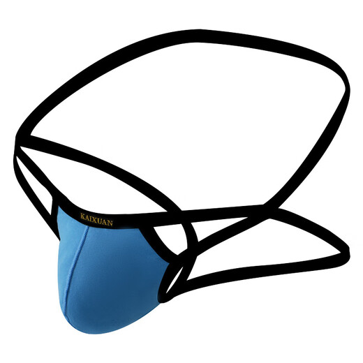 Wangjiang (WANGJIANG) men's sexy underwear fun thong ultra-thin breathable sexy pants fun briefs T black S /M