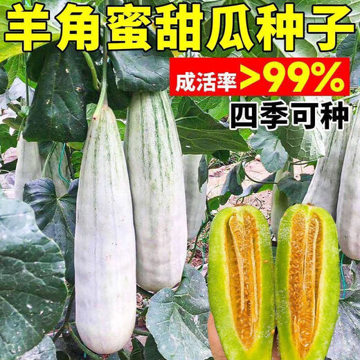 Croissant Melon Seeds, High Yield, Super Sweet Thin Skin Croissant Seeds, Balcony Flower Potted Fruit and Vegetable Seeds, Croissant Seeds, 5 packs, about 500 seeds