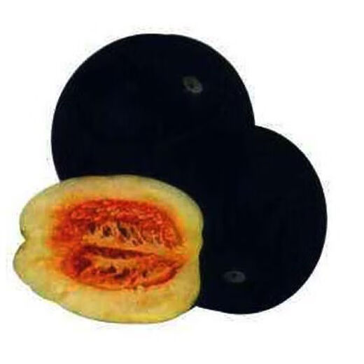 Black-skinned melon seeds, black-skinned sweet melons, large black-skinned melon seeds, cantaloupe seeds for spring sowing, fruits and vegetables, black-skinned melon seeds/pack, about 25 capsules, 1 pack
