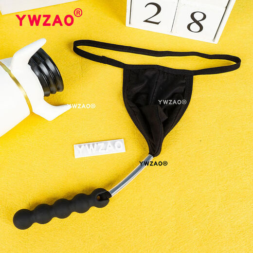Men's Sexy Anal Plug Underwear Men's Chrysanthemum Wearable Anal Plug Seamless Invisible Thong N10 Combination Single Underwear A26-28