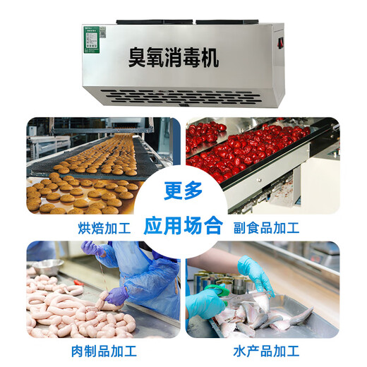 IGENU304 wall-mounted ozone generator industrial commercial disinfection machine food factory farm garbage room laboratory hospital school canteen restaurant kitchen deodorization and odor removal 304 stainless steel smart model 5g/h