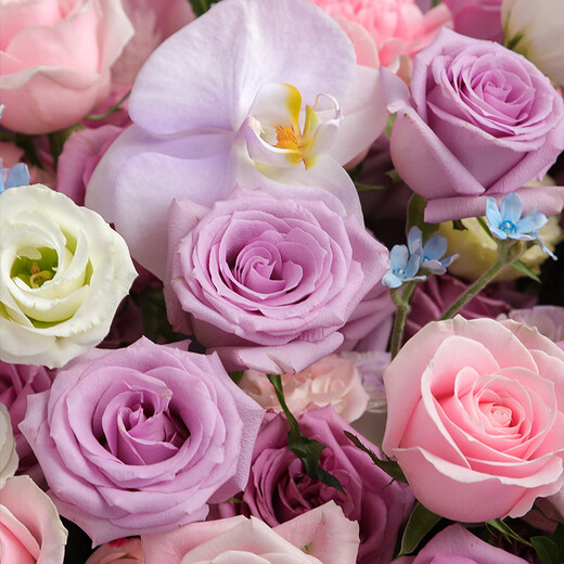 Airi Flowers intra-city express delivery giant bouquets of roses, birthday flowers, date flowers for girlfriends, gifts for besties, 33 purple roses, pink snow mountain powder, platycodon mixed bouquets