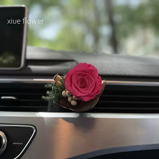 Yusenyi Immortal Flower Real Flower Car Air Outlet Decoration Car Aromatherapy Premium Gift Women's Car Fashion Car Air Conditioner Warm Pink Immortal Flower Real Flower Warm Pink Immortal Flower Real Flower 1g 1 Bottle