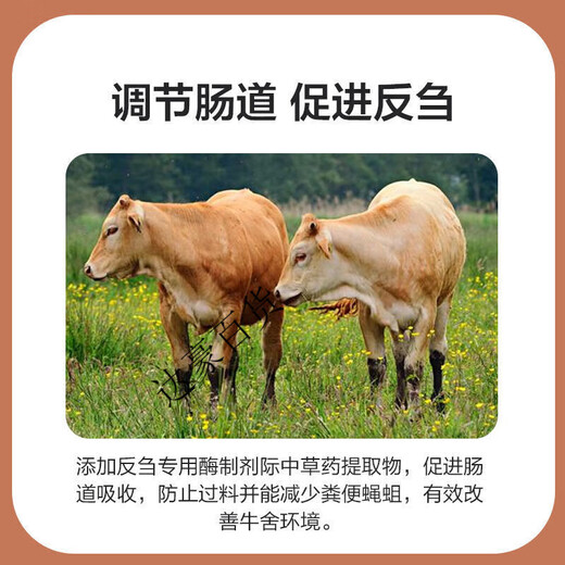 Premixed calf fattening cattle feed for rapid fattening and weight gain without pulling the frame