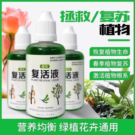 Plant and flower rejuvenation liquid is specially designed for the yellowing of plant stems and leaf drop, rapid growth and active rooting liquid to strengthen seedlings. Plant rejuvenation liquid 50ml*1 bottle, trial pack