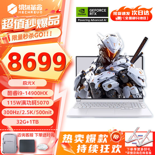 Mechanical Revolution Aurora