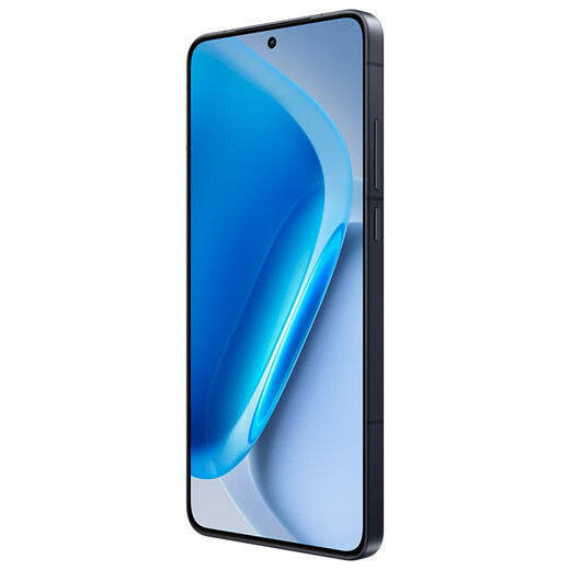 Vivo iQOO neo11 new 5G mobile phone Shadow Black 12+256G full network official standard configuration