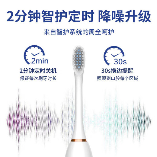 Electric toothbrush for adults, rechargeable, fully automatic, sonic, soft-bristled, waterproof, for men and women, couple set, pink, with 6 brush heads