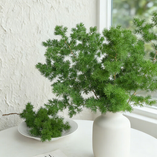 Like smoke and fog Penglai pine 3 pieces