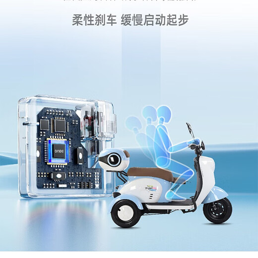 Feige electric tricycle for elderly people walking and leisure household small battery car for women new national standard electric tricycle V1 800W72V24A black gold 6 batteries about 130 miles