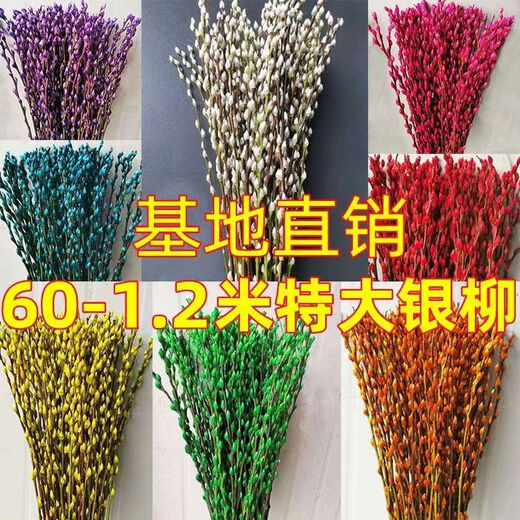 Silver willow real flowers, fresh branches, New Year's Eve flowers, red dried flowers, blessing bucket, silver willow, hydroponic plants, flowers, living room interior decoration, New Year's festive red and silver willow, 45 cm, 10 pieces