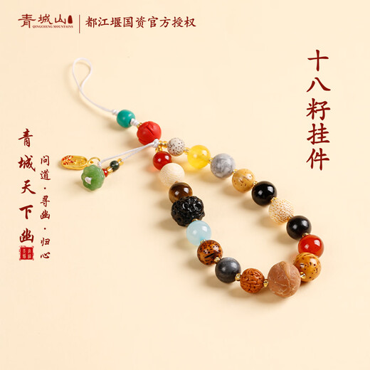 Qingcheng Mountain Eighteen Seeds Mobile Phone Lanyard Mobile Phone Chain Pendant Safe Transfer Gift Bag Pendant Exquisite Bodhi Seed Beads