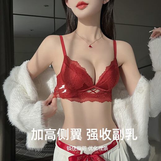 Victoria's Fantasy French New Style Underwear Set Small Breast Push Up Adjustable Sexy Lace Red Bra Burgundy (Set) M 34/75 (AB Pass)