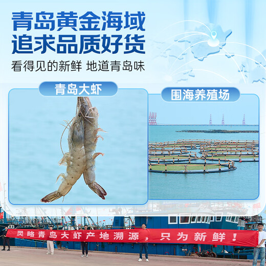 Linglue Qingdao Salted Frozen Prawns Net Weight 3Jin Jin is equal to 0.5kg 105-120 pieces Salted Frozen White Prawns Prawns Base Shrimp Fresh Shrimp