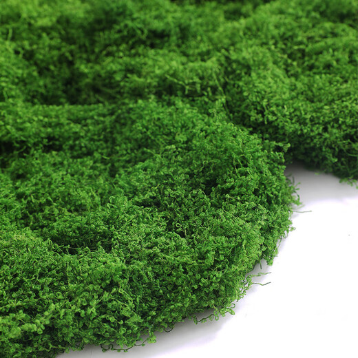 Jingga artificial moss turf landscaping bionic fake moss micro landscape layout ornaments lawn bonsai potted plant pavement decoration filamentous moss light green 100g