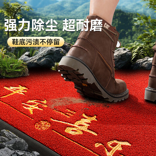 Southern Life home entry floor mat light luxury high-end foot mat entry door red thickened door mat door mat non-slip mat high-end carpet