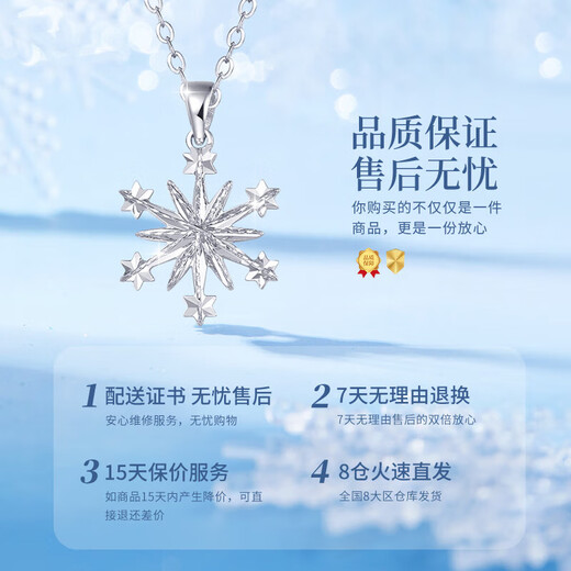 CHINA GOLD Small Snowflake Platinum Necklace Women's Platinum Pendant Light Luxury Necklace Birthday Gift for Girlfriend and Wife Wedding Anniversary Platinum Romantic Snowflake Pendant + Platinum Chain