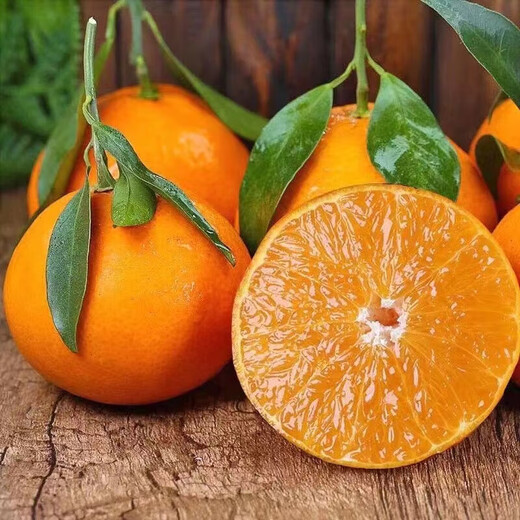 Jingpei selects authentic Ehime No. 38 jelly oranges, seasonal fruit oranges, seasonal citrus gift boxes, selects 9-10 Jin in boxes, equals 0.5 kg, family version | fruit diameter 60mm-70mm, JD JD Express, picks and ships on the same day.