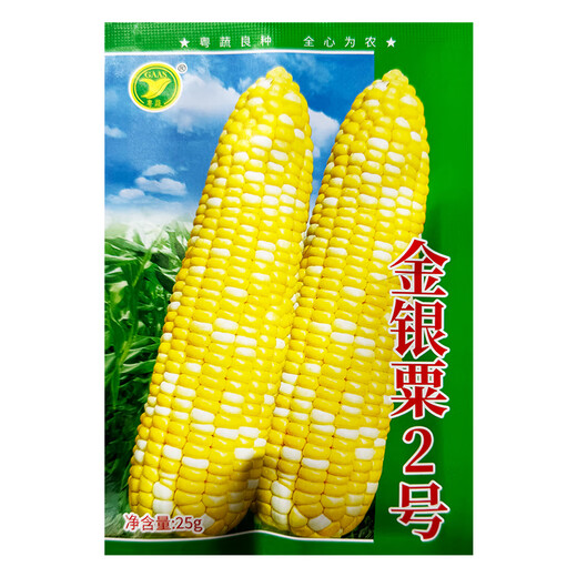Jiannan Seed Industry Academy of Agricultural Sciences Super Sweet Golden Silver Chestnut No. 2 Corn Seed Four Seasons Fruit Sweet Corn Seed Field Corn Seed Golden Silver Chestnut No. 2 Original 100g