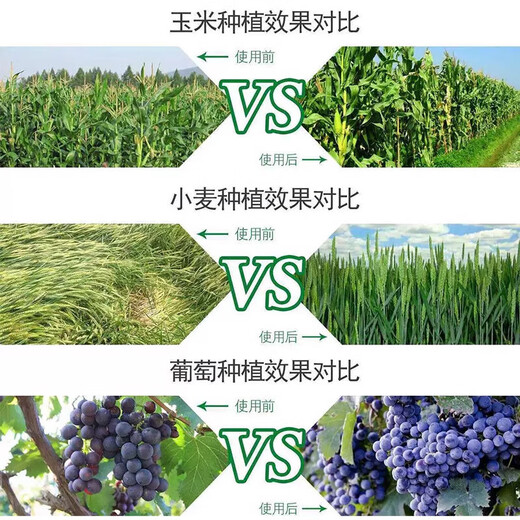 Brassinolide Yuntaixin Preserves flowers and fruit trees, cucumbers, citrus, and fruit-drop prevention plants. Brassinolide growth regulator 10g*10 bags