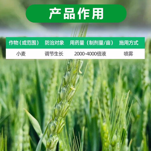 28 table high brassinolide plant growth regulator to protect flowers and fruit trees Yuntai lactone foliar fertilizer pesticide 1000g*5 bottles