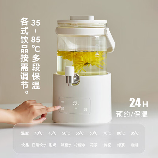 Olayks instant glass spring health pot 2025 new all-pure glass health teapot stewing integrated flower tea bucket uncoated kettle OLK-K09