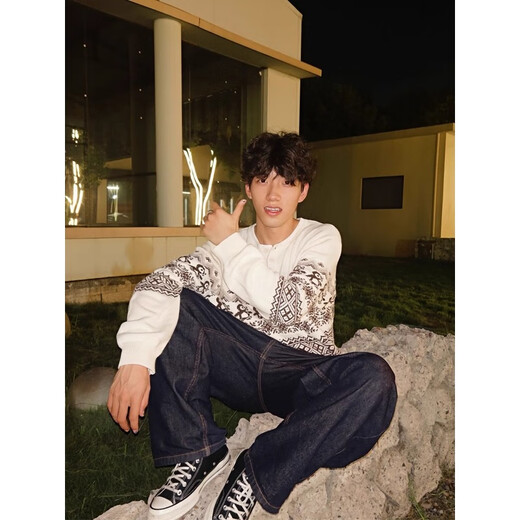 7 excellent products Christmas Penguin Fair Isle Henry Collar Sweater Men's Autumn Lazy Style Pullover Sweater Couple Tops Men HYXS-MY464 Coffee Color M