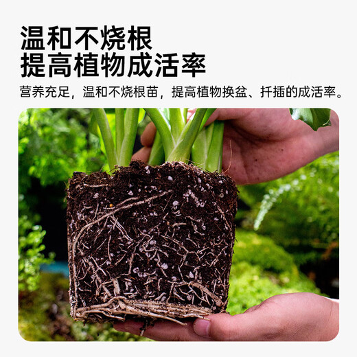 Worthlin universal nutrient soil flower soil large bag organic vegetable and flower planting soil green radish peat soil 50Jin Jin is equal to 0.5kg refined nutrient soil