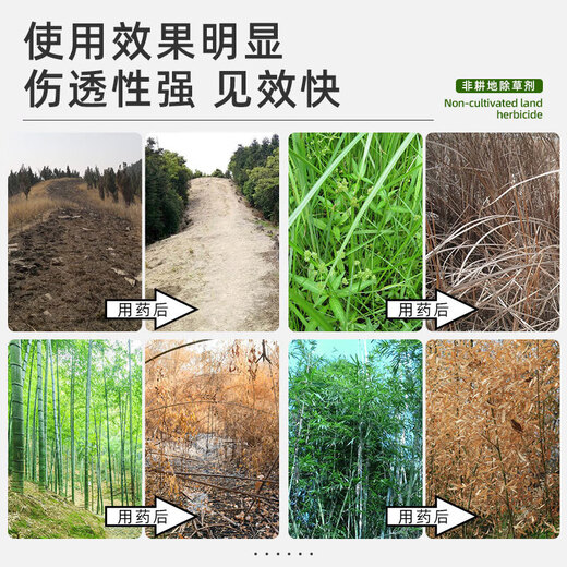 Cyclazinone copper special medicine for eradicating big trees, removing bamboo shrubs and killing weeds, powerful granular herbicide 500g*3 bags