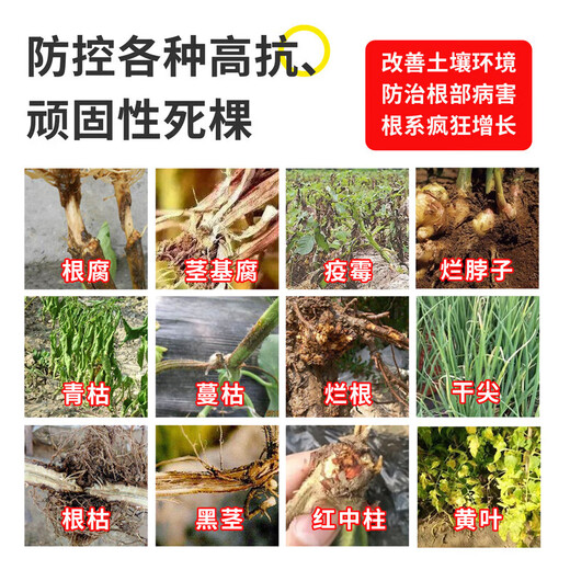 Pythium Teck Agricultural genuine product specializes in treating stubborn and highly resistant root rot, Verticillium wilt and rot, glue flow aid 1000g*5 bottles