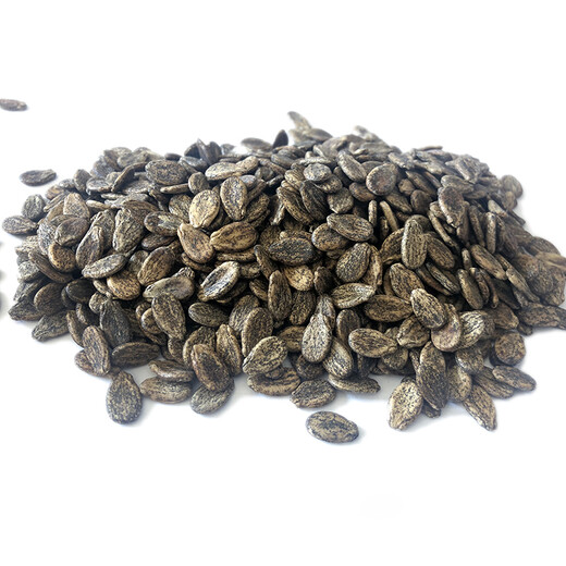 Zhongke Maohua Hybrid Watermelon Seeds Little Seed Giant Dragon Lazy Man Cultivated Watermelon Seeds Fruit and Vegetable Seeds Large Fruit Big Red Flesh No Pruning No Crossing Flower Skin Red Flesh Little Seed Giant Dragon 100g/box