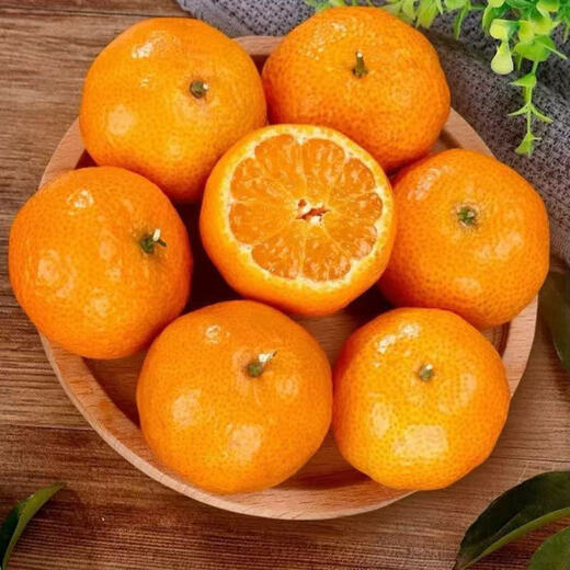 Sweet Guangxi Golden Autumn Sugar Orange Seasonal Fresh Fruit Sugar Orange Thin-Skinned Juicy Seasonal Fruit with Box 10Jin Jin equals 0.5kg