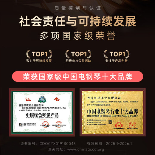 Betsy B170 Electronic Piano 88 Keys Adult Beginner Dormitory Portable Folding Electric Piano Beginner's Entry Electronic Piano B170 Folding Design 88 Keys Classic - Black Package 2 Standard + Thickened Piano Bag