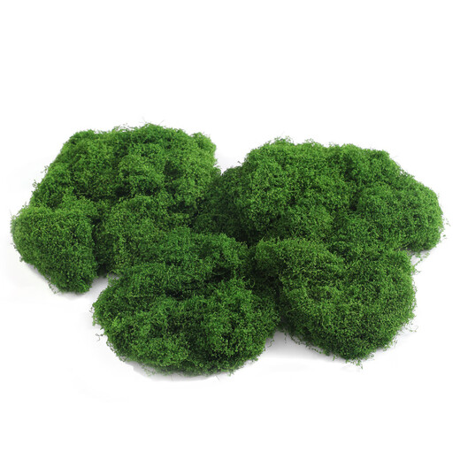 Jingga artificial moss turf landscaping bionic fake moss micro landscape layout ornaments lawn bonsai potted plant pavement decoration filamentous moss light green 100g