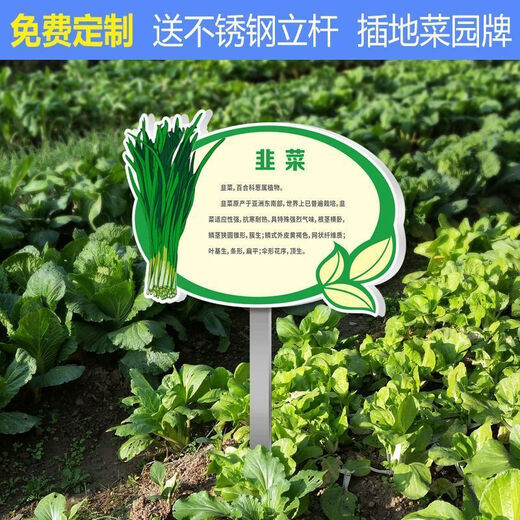 Introduction to Vinoya vegetables, vegetable garden vegetable patch, vegetable signage, vegetable variety display board, introduction to vegetables and fruits, 20x30cm (smaller size) 01 type + free stainless steel pole and screws