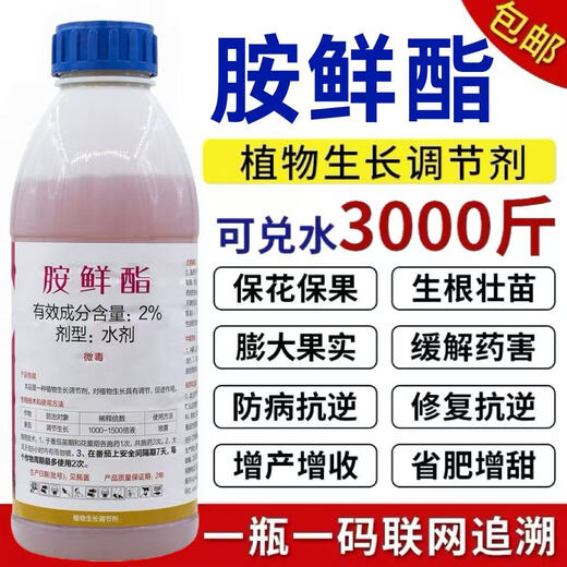 Ammonium ester regulator to protect flowers and fruits, increase production, antidote damage, root and strengthen seedlings, fruit trees, vegetables and flowers foliar fertilizer 10g*10 bags