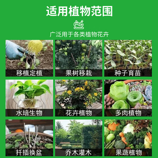 Zhonggu Nongkang Granular Boron Slow-release Granular Fruit Expansion, Beautiful Fruit Enhancement, Increased Quality, Increased Yield, Preserved Flowers and Fruit, Increased Fruit Set, Granular Boron 500g*2 Bags
