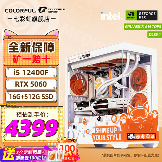Colorful (Colorful) i5 14600KF RTX5070 5060TI graphics card Orange Shadow Orange Orange Cat customized model Game live broadcast design computer host desktop assembly machine with one 12400F丨16G丨512G丨5060 graphics card original box