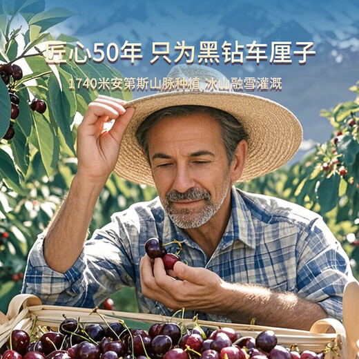 Fenlan Chilean cherries JD SF Express - next-day delivery to many places Imported large cherry gift box New Year's Day gift fruit 2Jin Jin equals 0.5kg (net weight) Extra large fruit 3J grade 30mm+