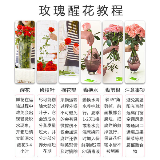Rose Yunnan Flowers Wholesale Real Flowers Household Flowers Vase Water Growing Holiday Gift Rose Flowers Champagne Rose 18+2 Branches Loss-proof