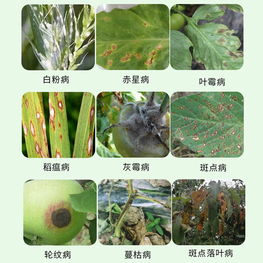 10% Polyantimycin Fungicide for tomato, cucumber leaf mold, gray mold, spotted leaf fall disease, polyantimycin*3 pack