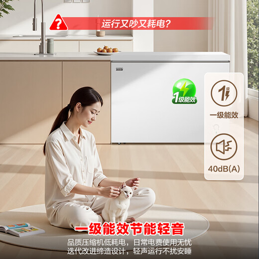 Ronshen 300-liter first-class energy-efficient energy-saving large-capacity freezer refrigeration and freezing conversion single-temperature high-efficiency frost-reducing low-noise horizontal freezer trade-in national subsidy BD/BC-300E10HNLAJ 300L